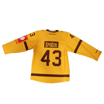 Maillot Away Champions Hockey League 24-25